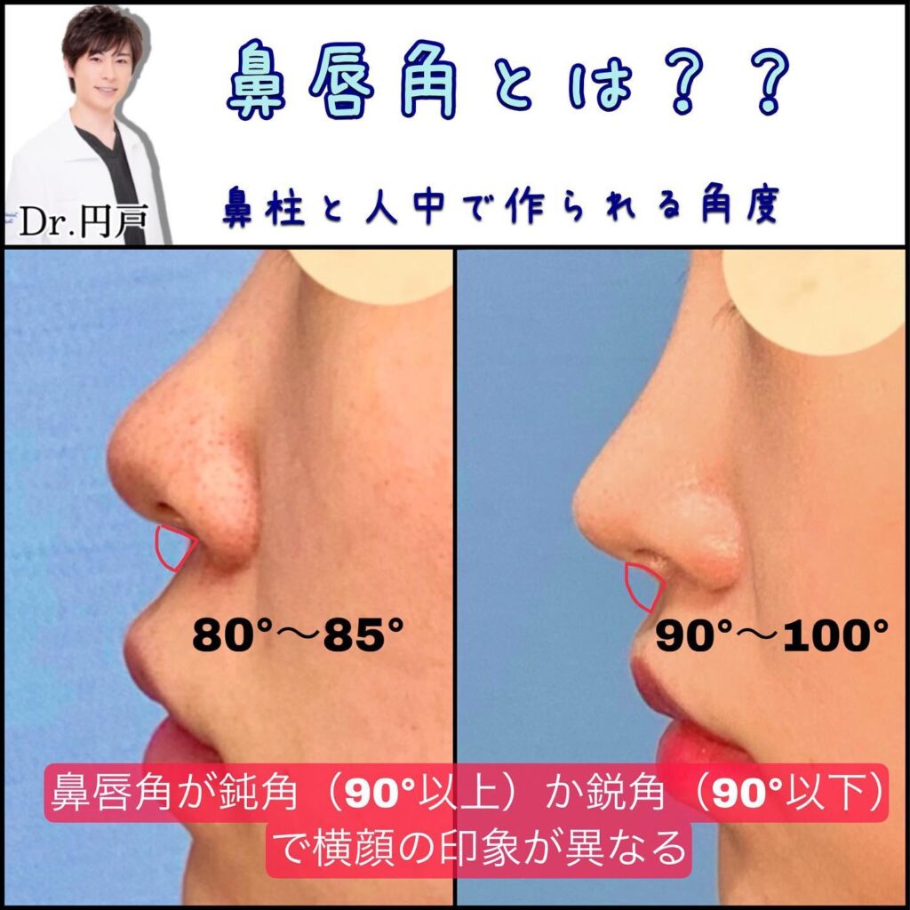 鼻唇角の理想的な角度の図解