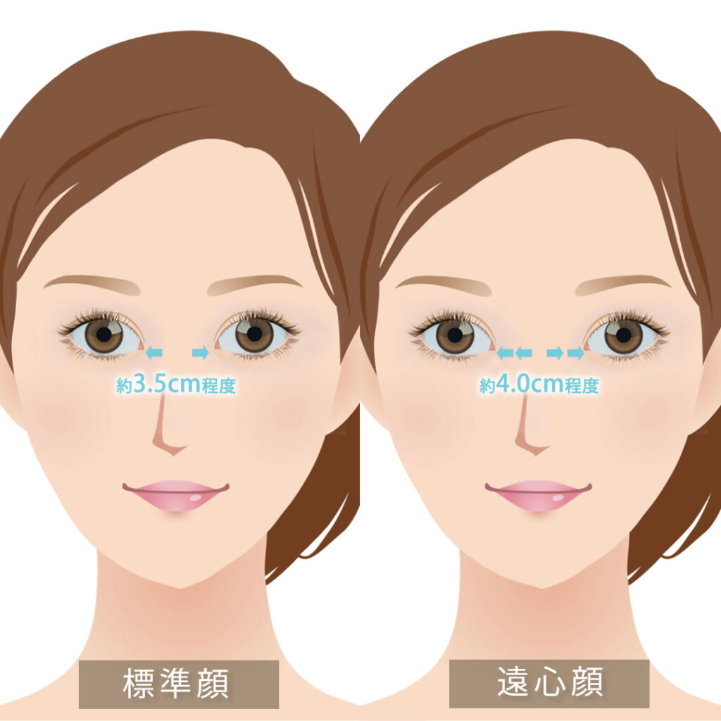 標準顔と遠心顔の図解