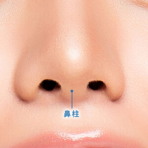 鼻柱形成とは?種類や施術前に知っておきたいポイントを徹底解説|金沢の美容外科はeクリニック
