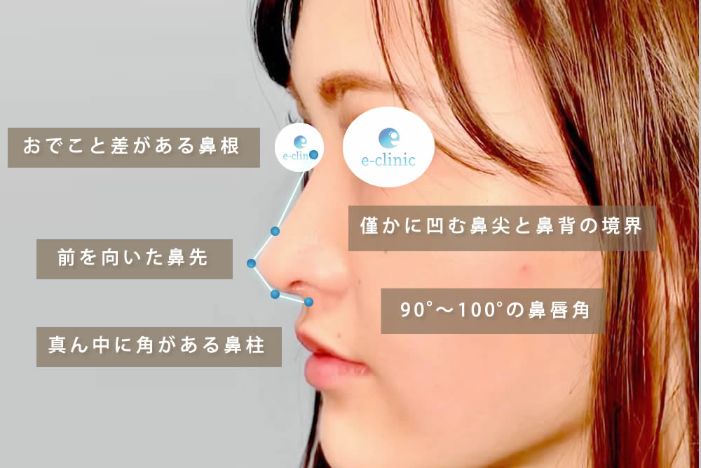 美しい鼻を形成するためには５つのポイント
