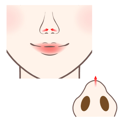 鼻先を細くする場合の図解