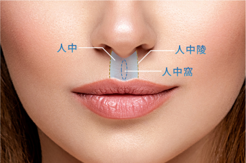 人中の説明の図解